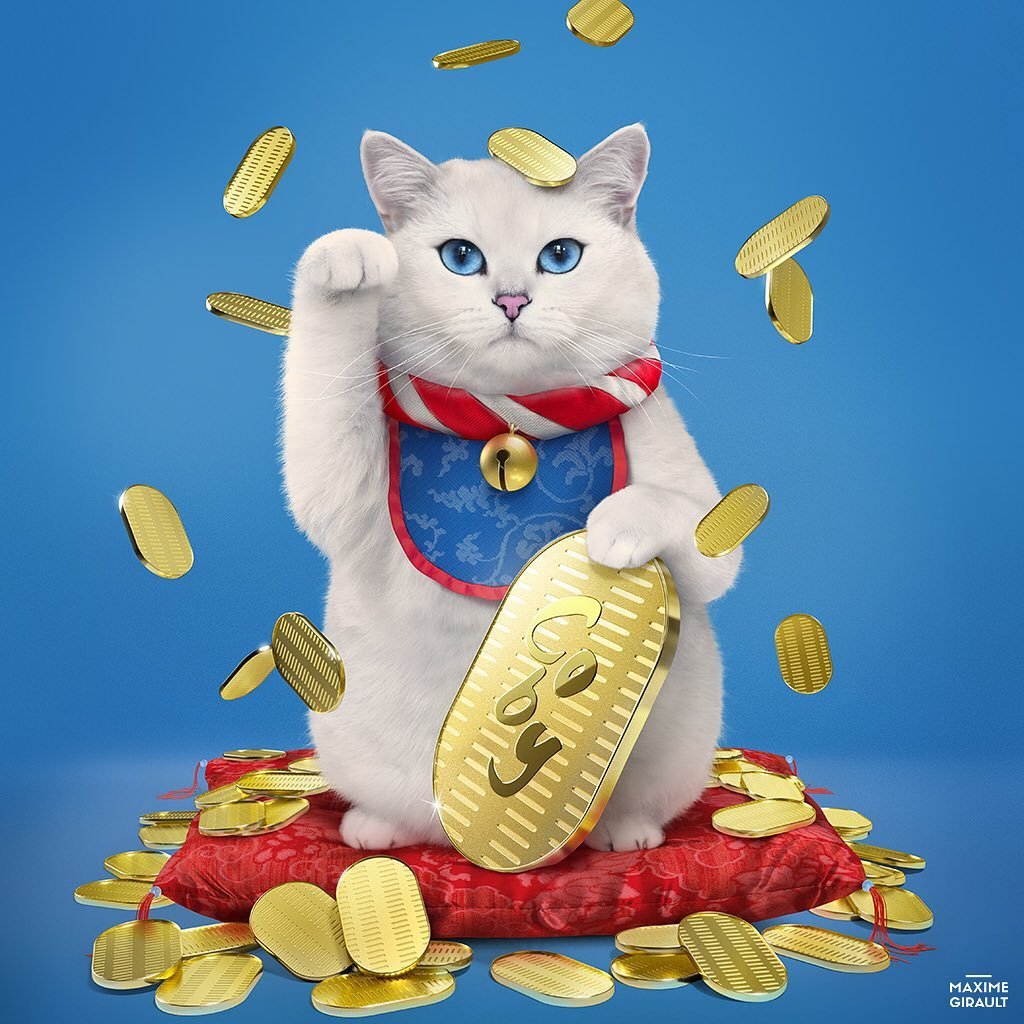 Кот в костюме суши