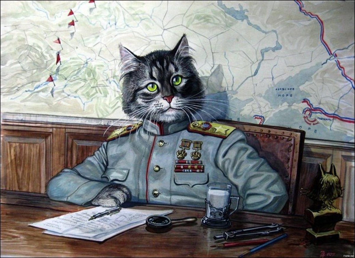 Коты Александра Завалий