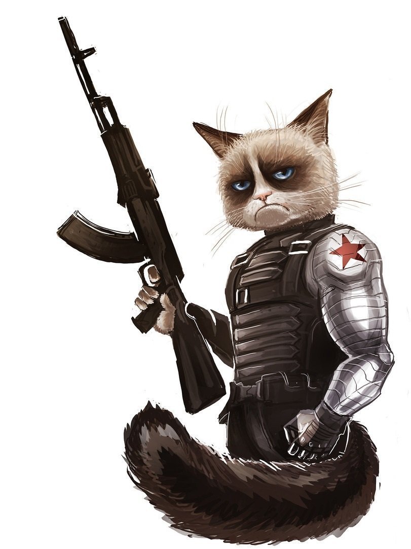 Коты с оружием