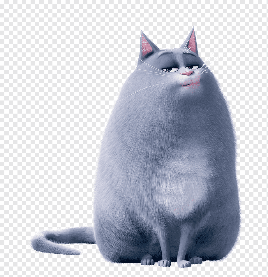 Кошка Хлоя