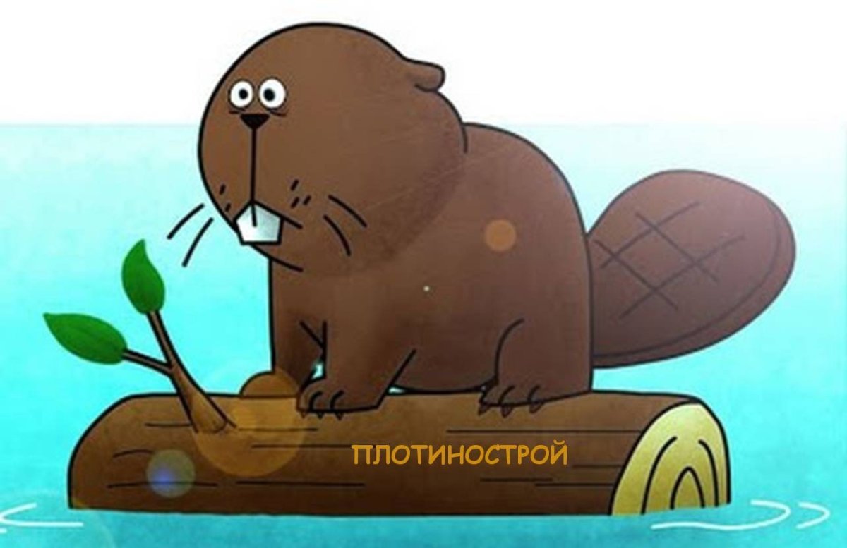 Обиженный Бобр