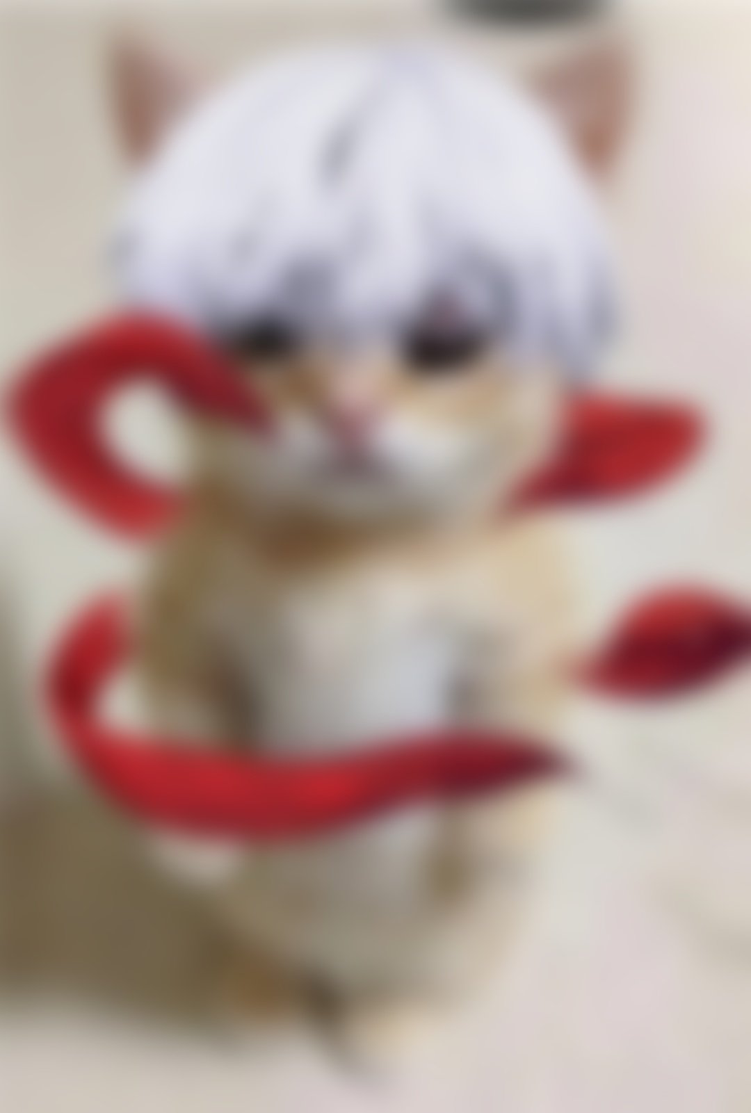 Котик гуль