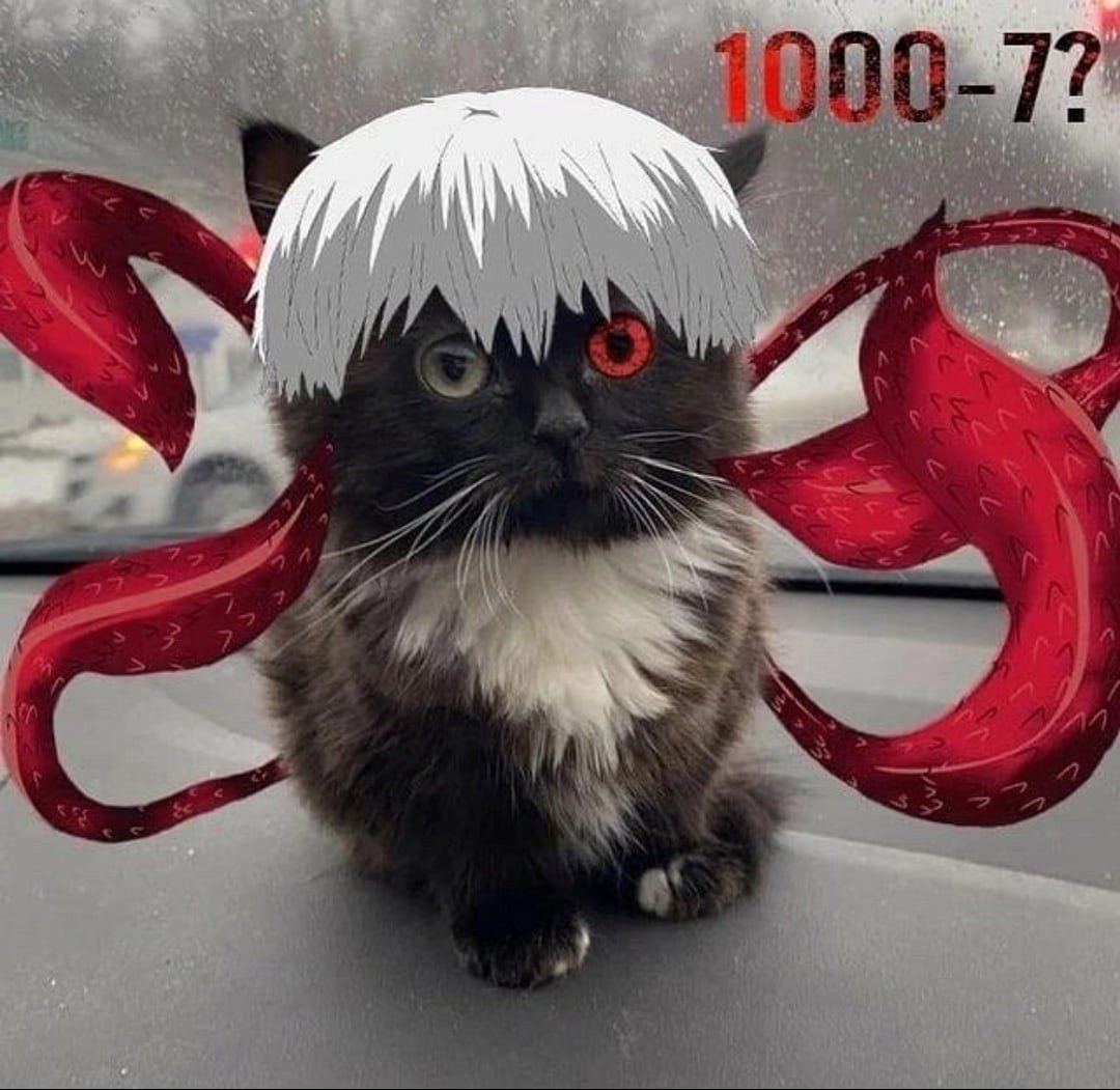 Кот дрейнер