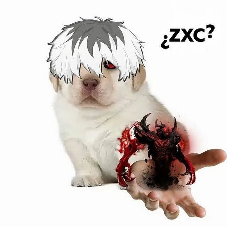 ZXCURSED кот гуль
