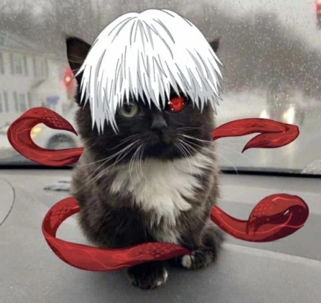 Чмоня кот