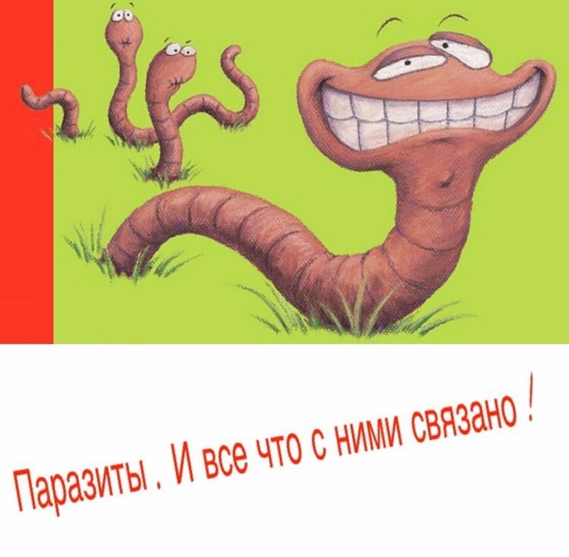 Прикольные червячки