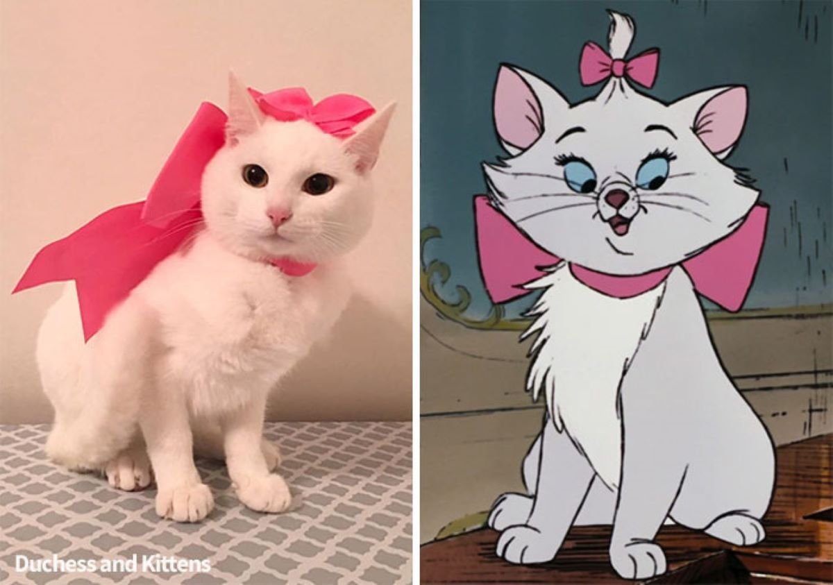 Кошка Мари и герцогиня
