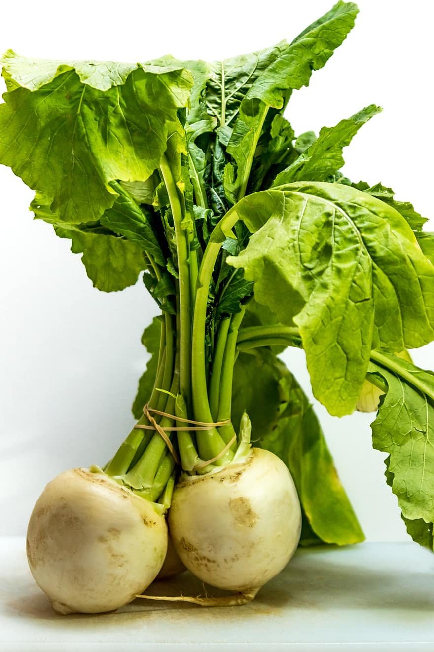 Репа (Brassica Rapa)