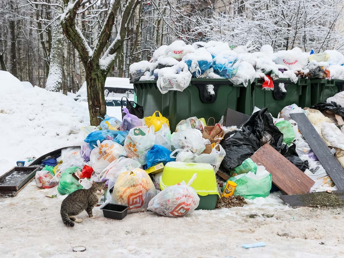 Мусорная свалка