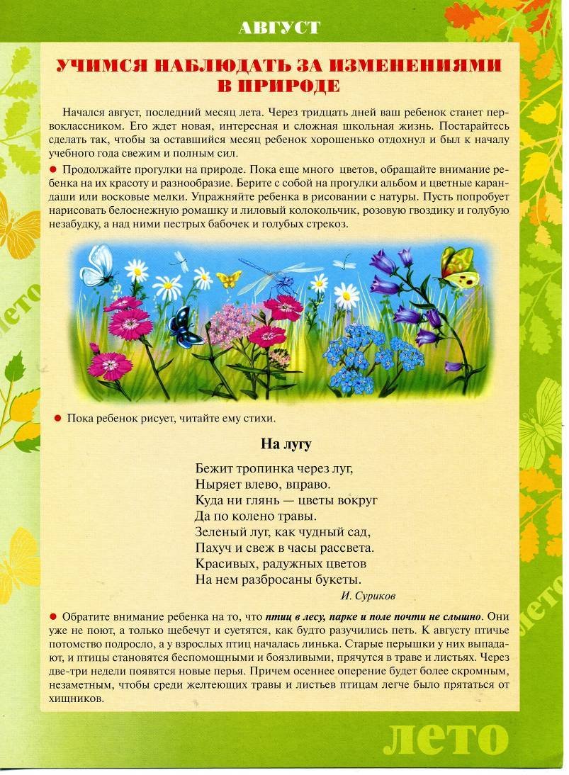Наблюдения в природе летом
