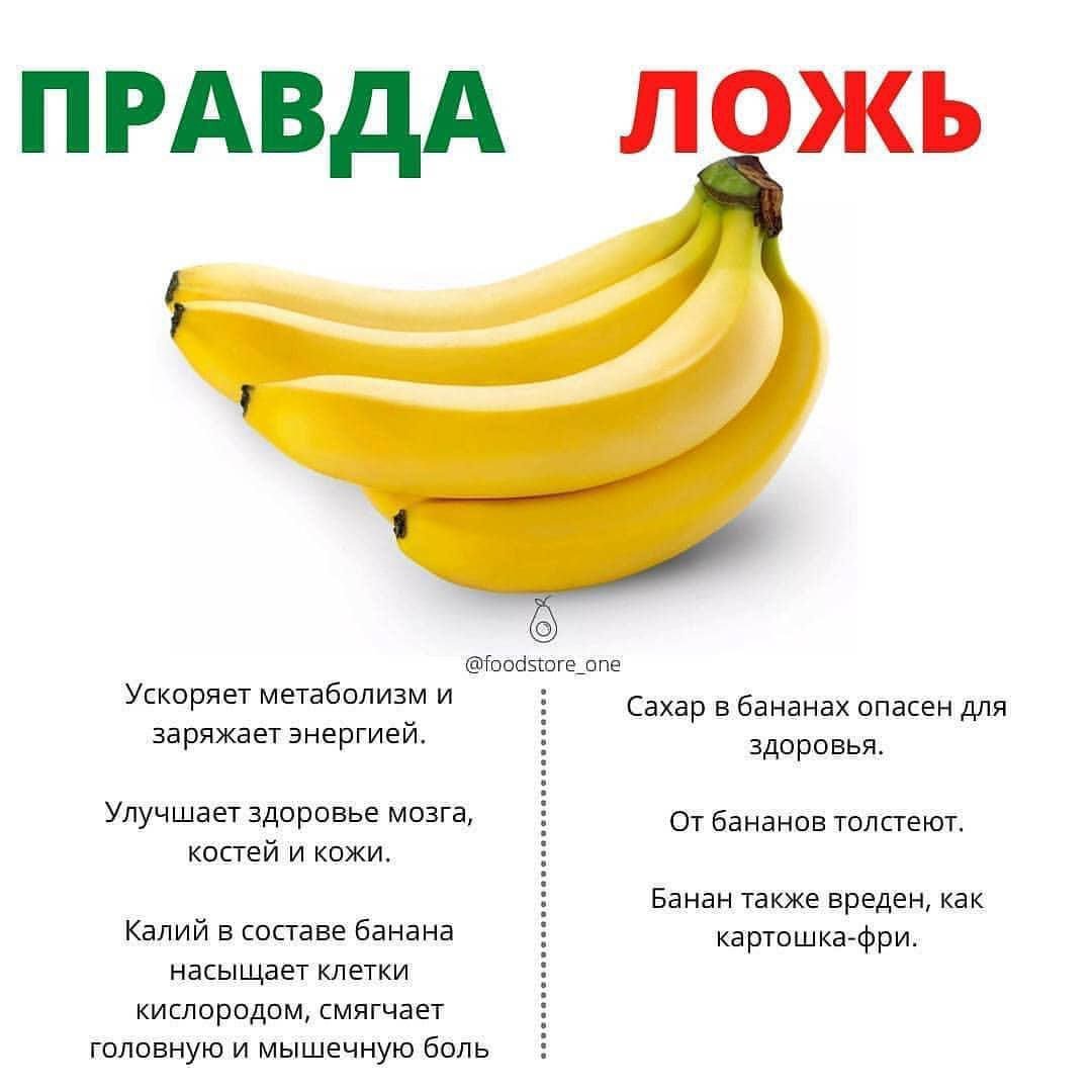 Интересные факты о бананах
