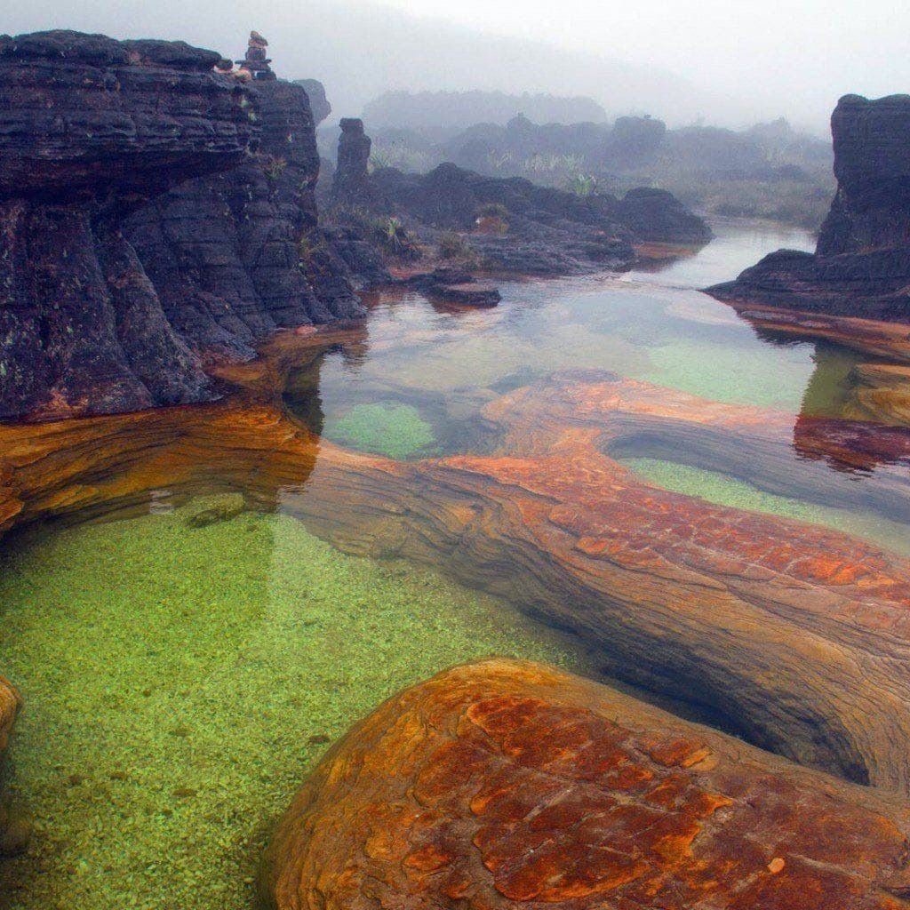 Природа америки