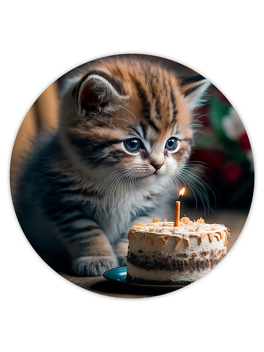 Котик день рождения