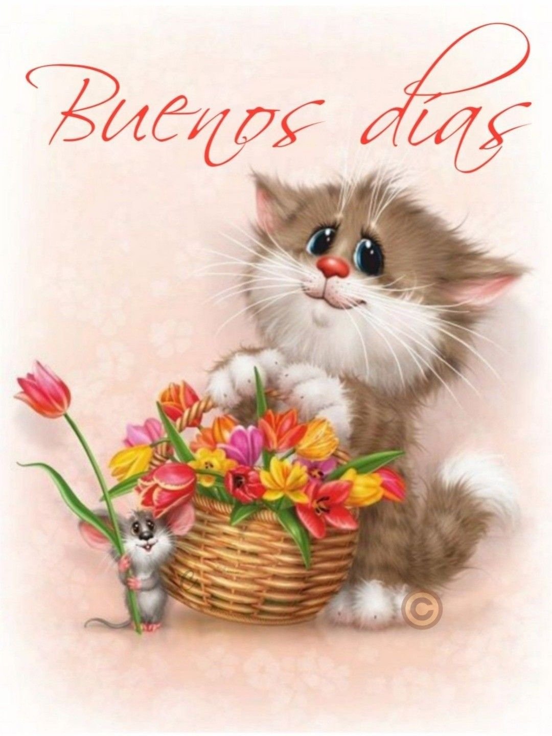 Коты Долотова с днем рождения