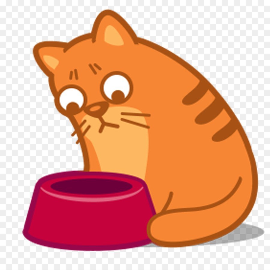Кот с Микой