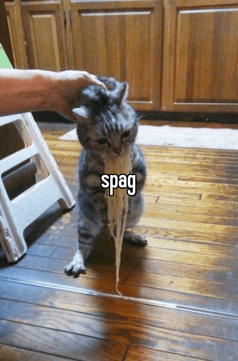 Наш котик все еще голодный