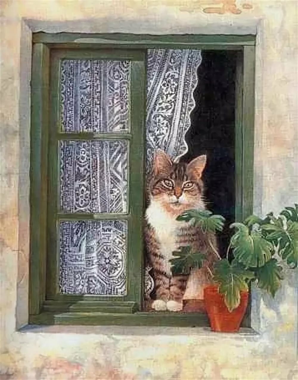 Кот на окне