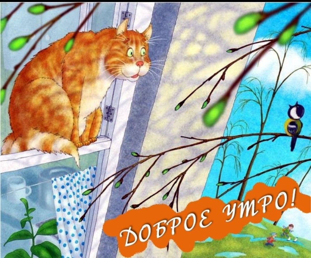 Весеннее окошко и кошка
