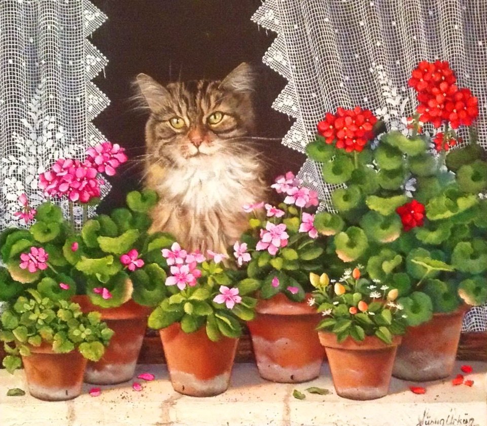 Котенок с геранью на окне