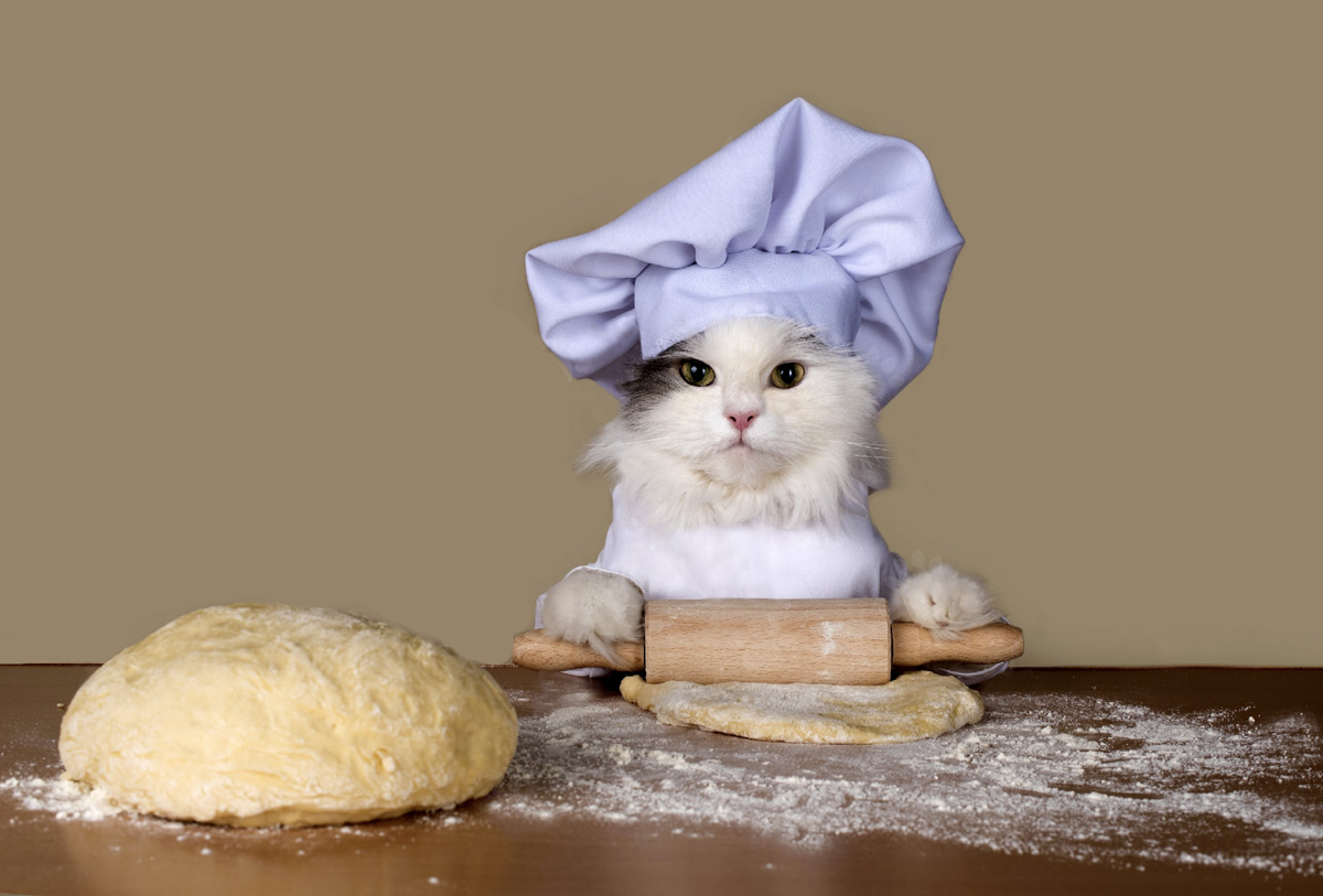 Котик месит тесто