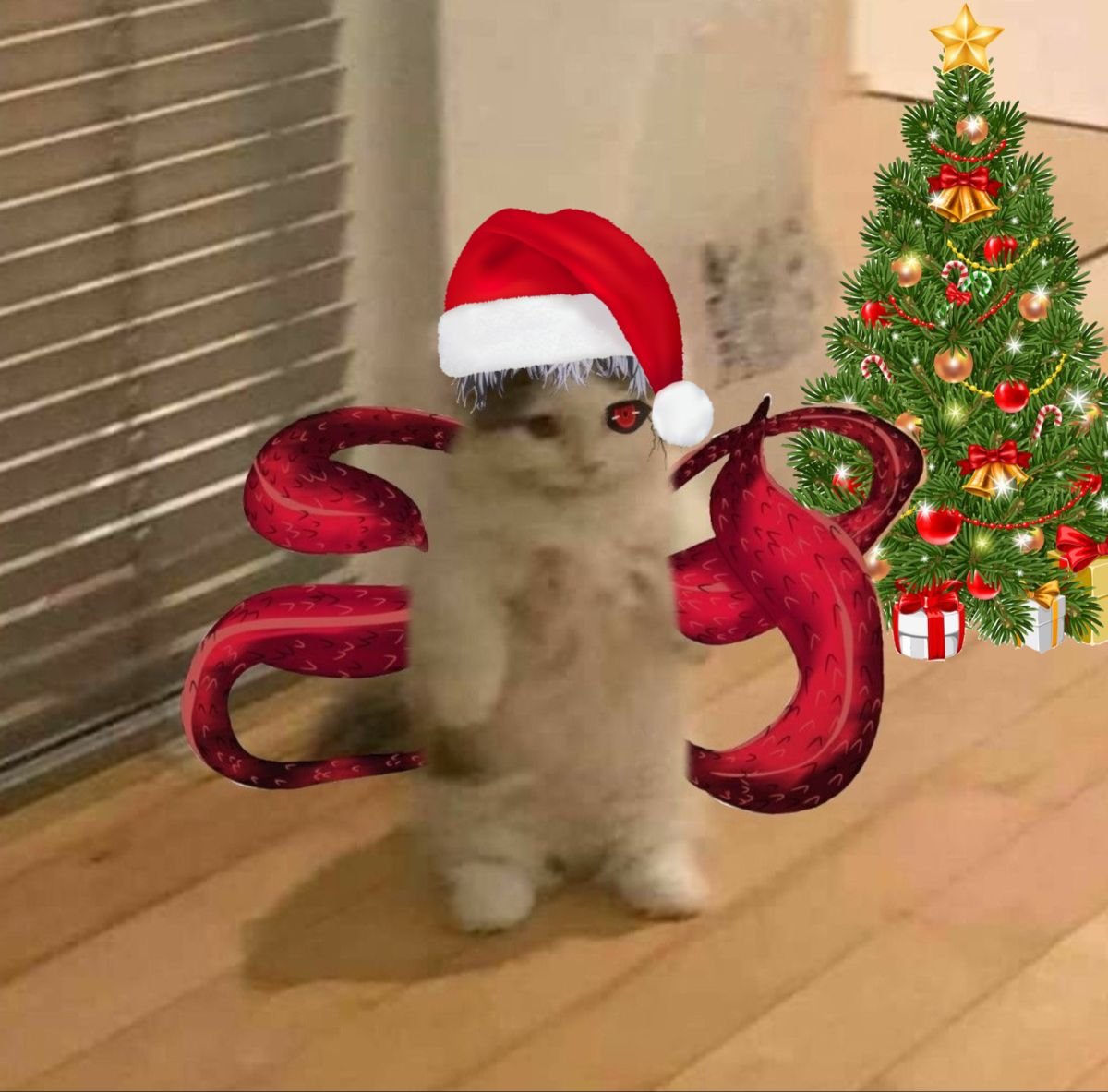 Котик дед инсайд
