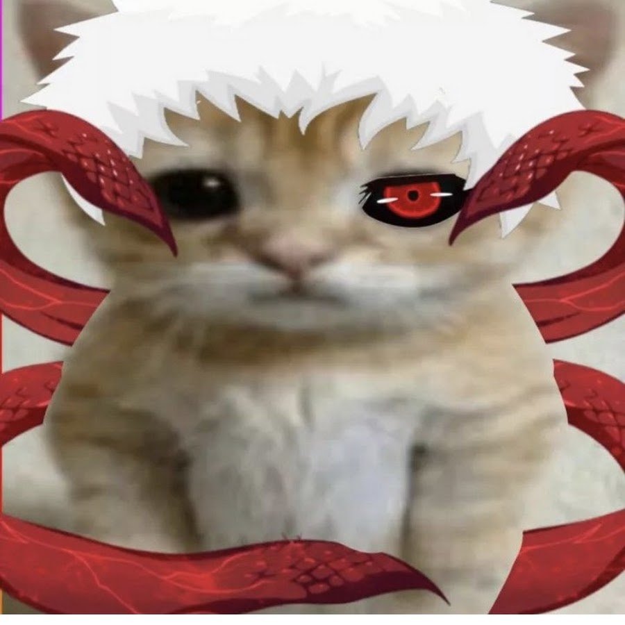 Кот со скилами Паджа