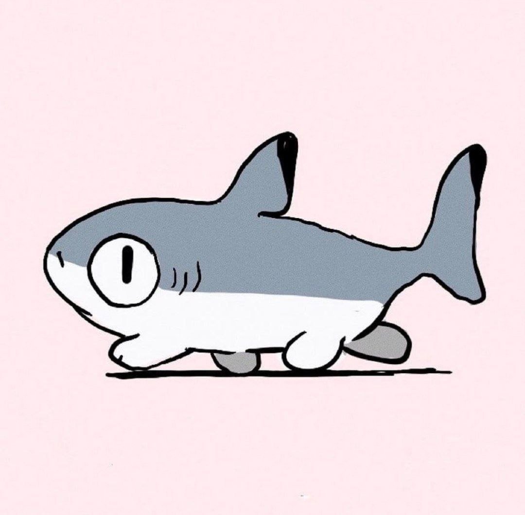 Yogin Shark Cat