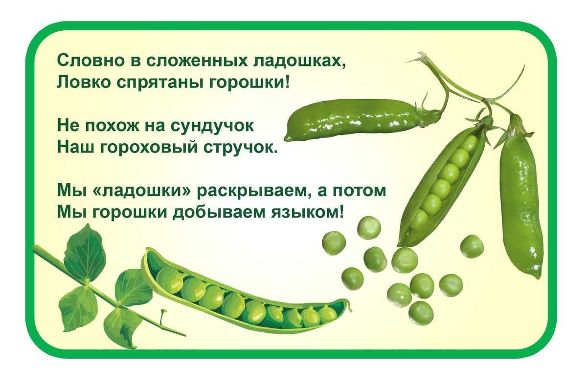 Стих про горох