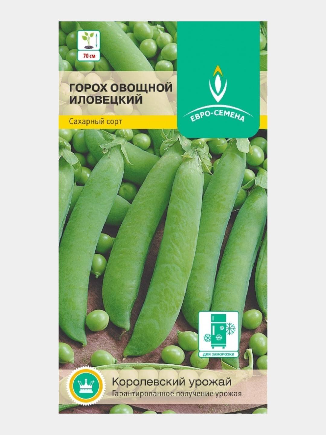 Горох Иловецкий