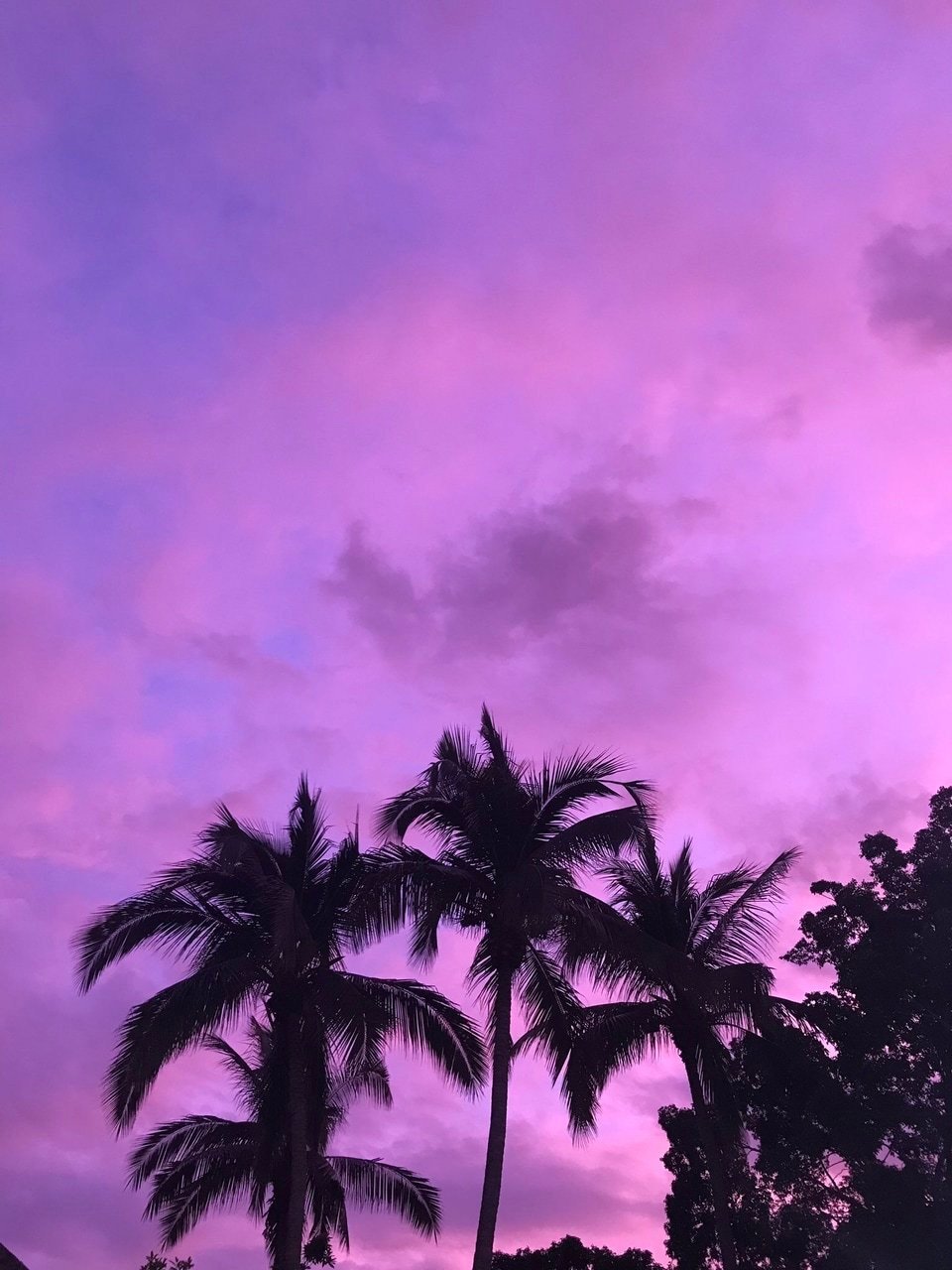 Summer aesthetic