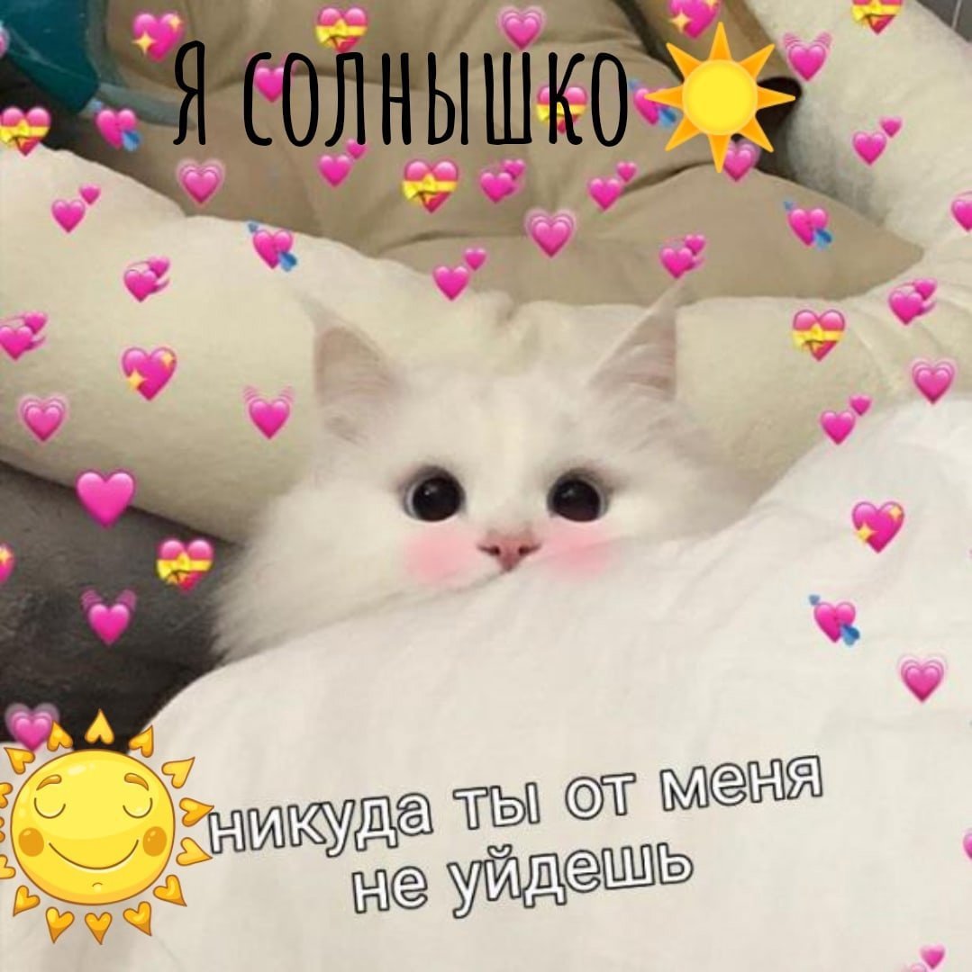 Милый котик с сердечками и надписями