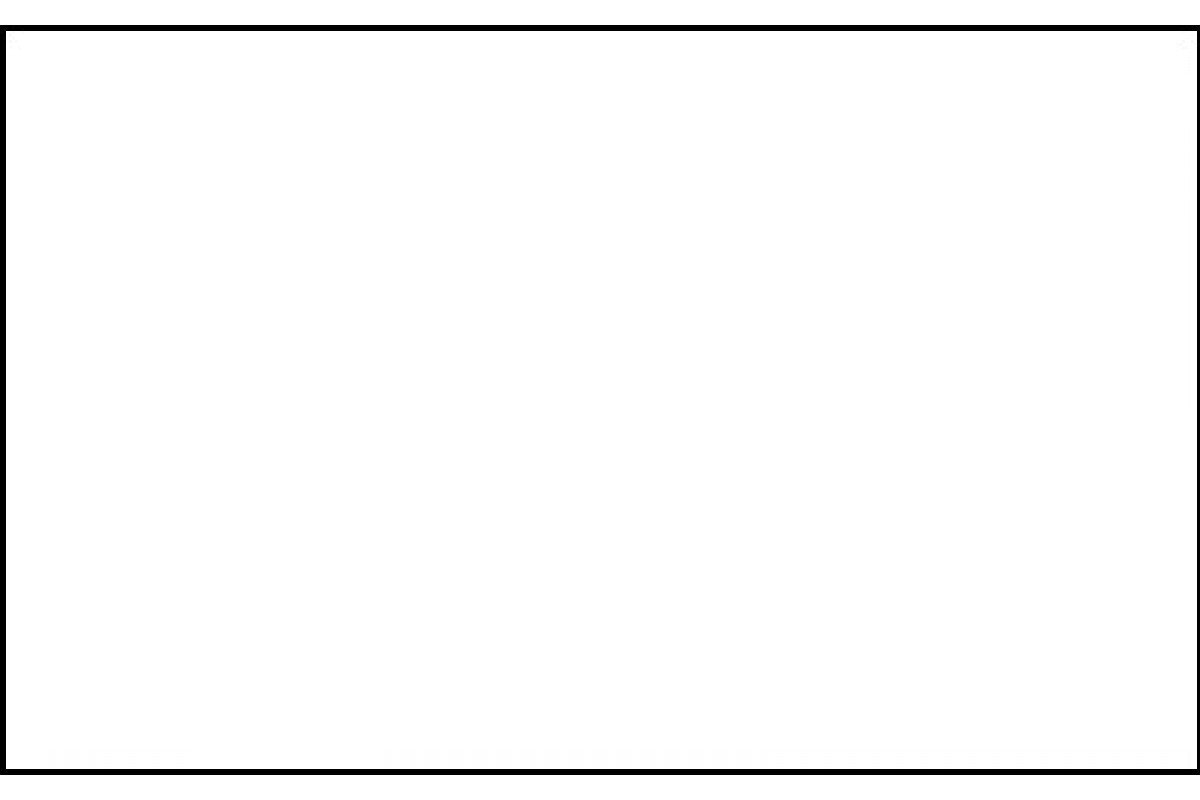 Trend Blanco Mate rectificado 30x60