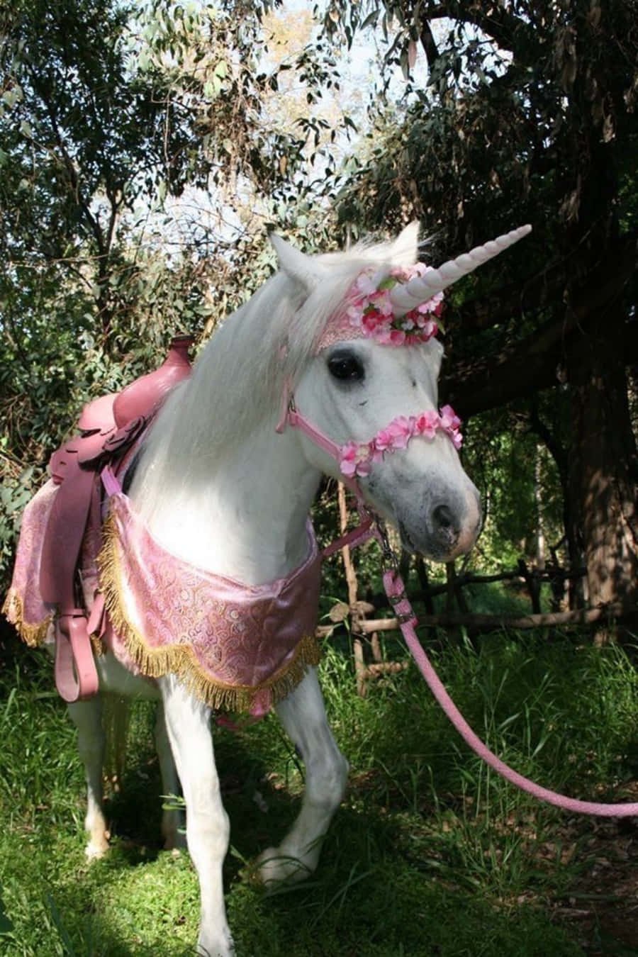 Единорог живой