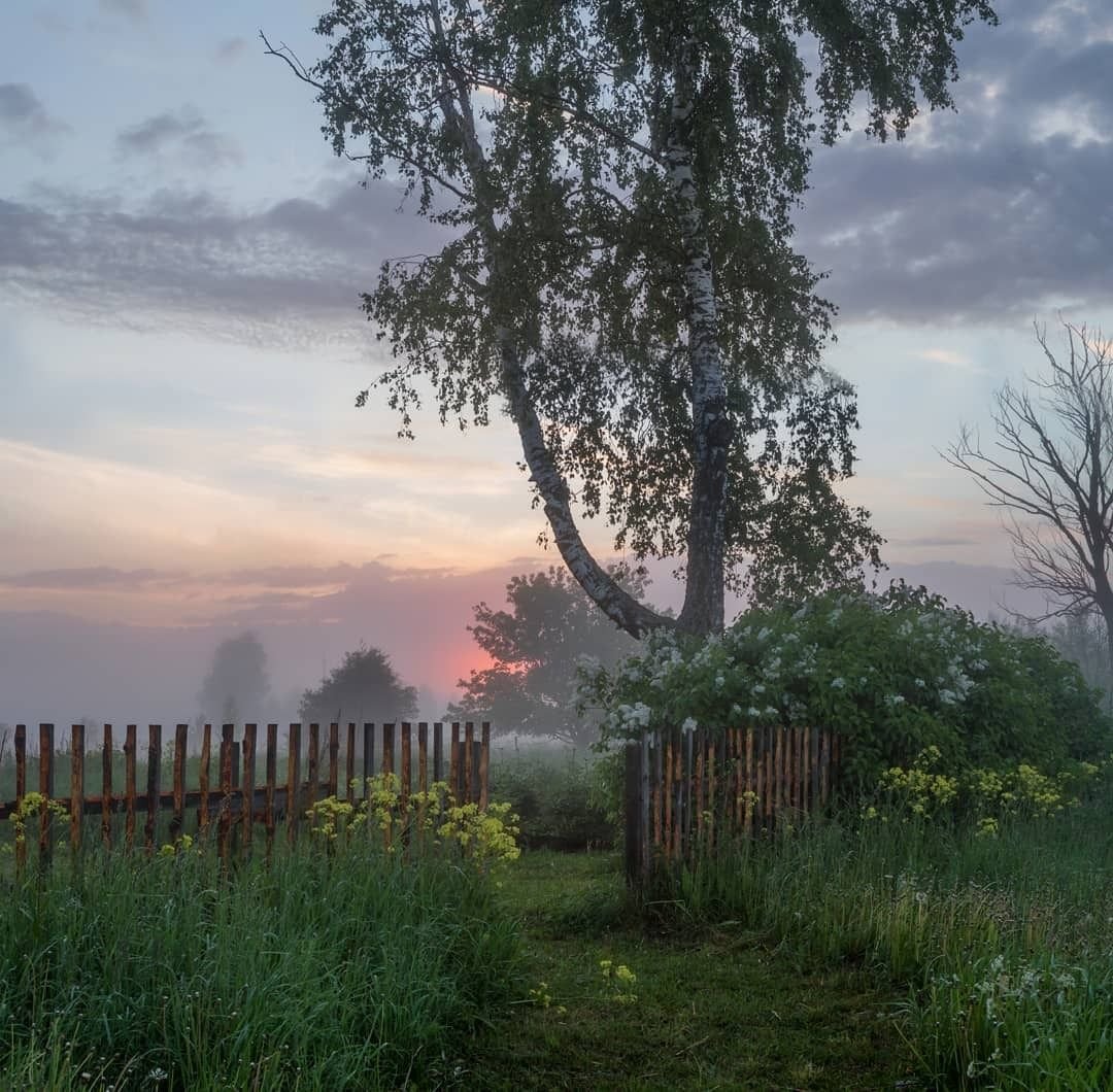 Русская природа