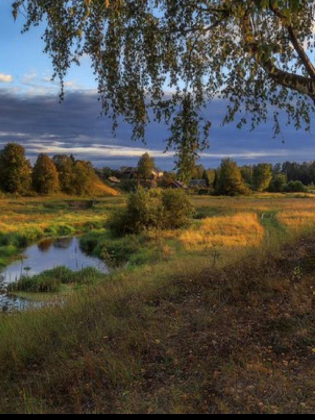 Фотопейзажи Новгородской области
