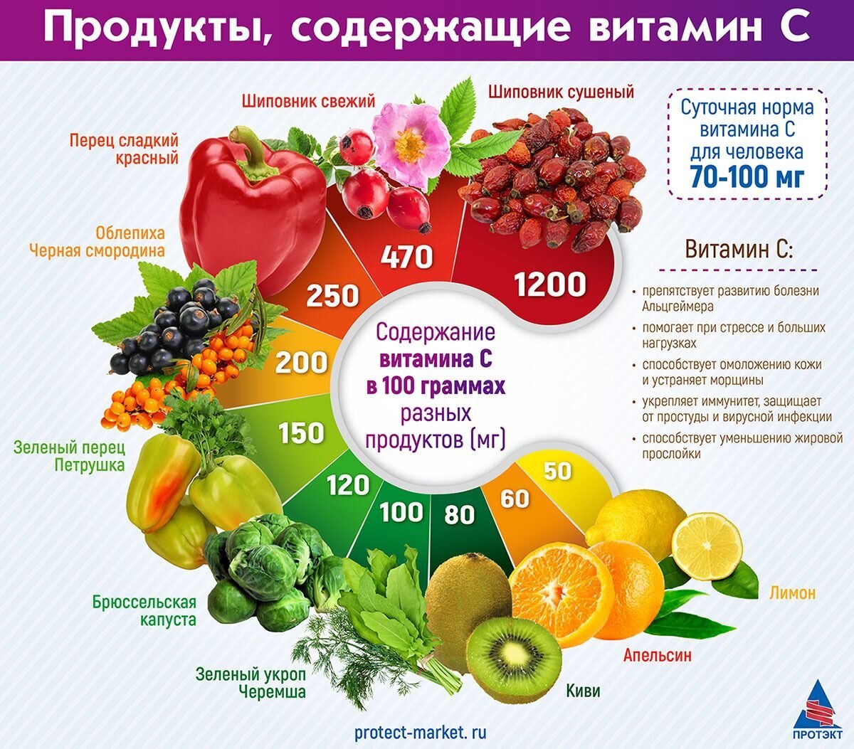 Содержание витамина с в шиповнике