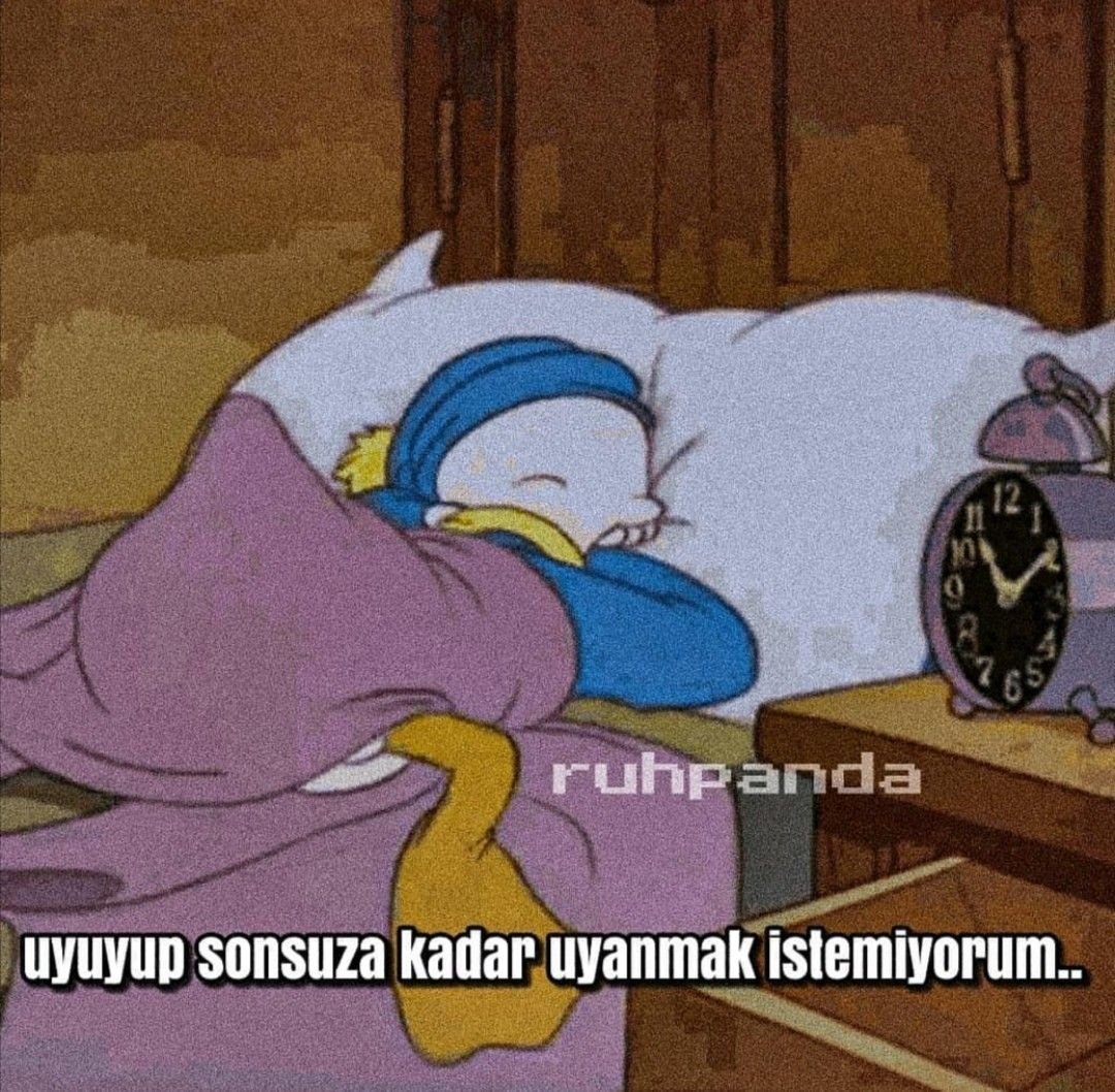 Сонный Дональд