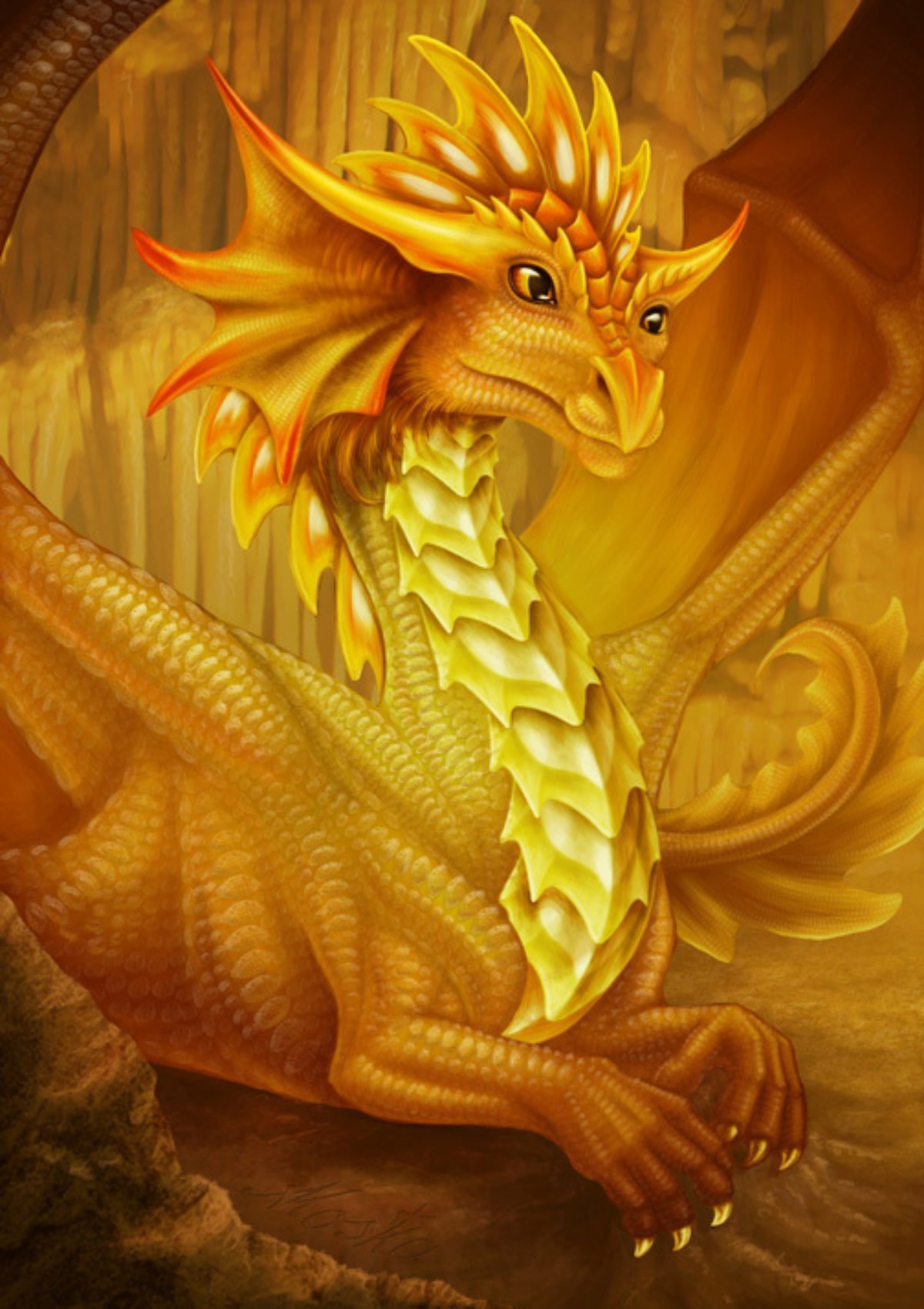 Zolotoy Drakon/золотой дракон