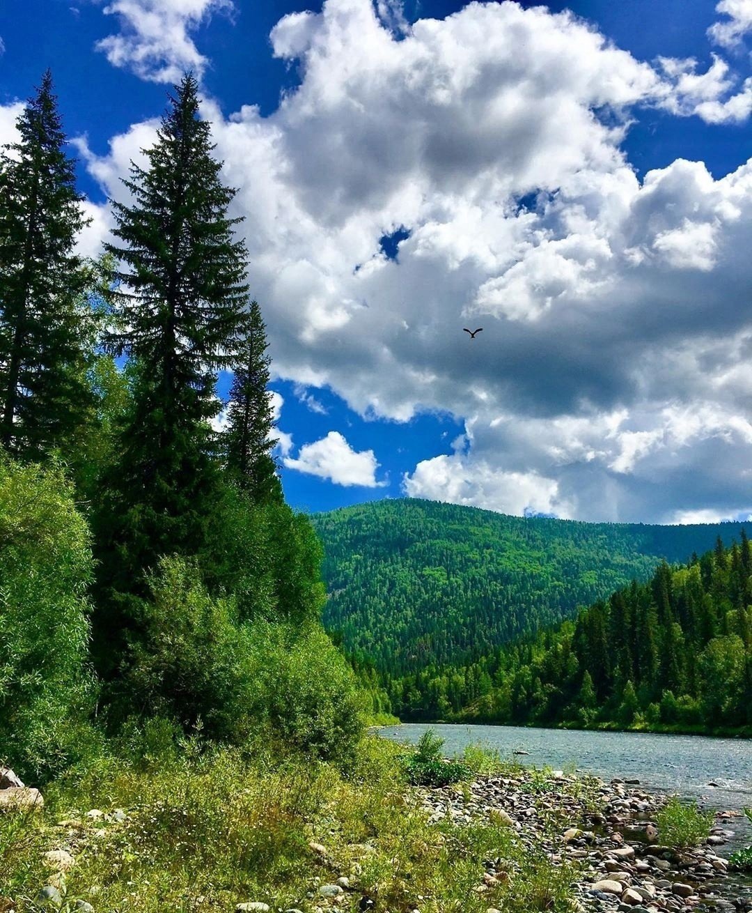 Просторы Сибири
