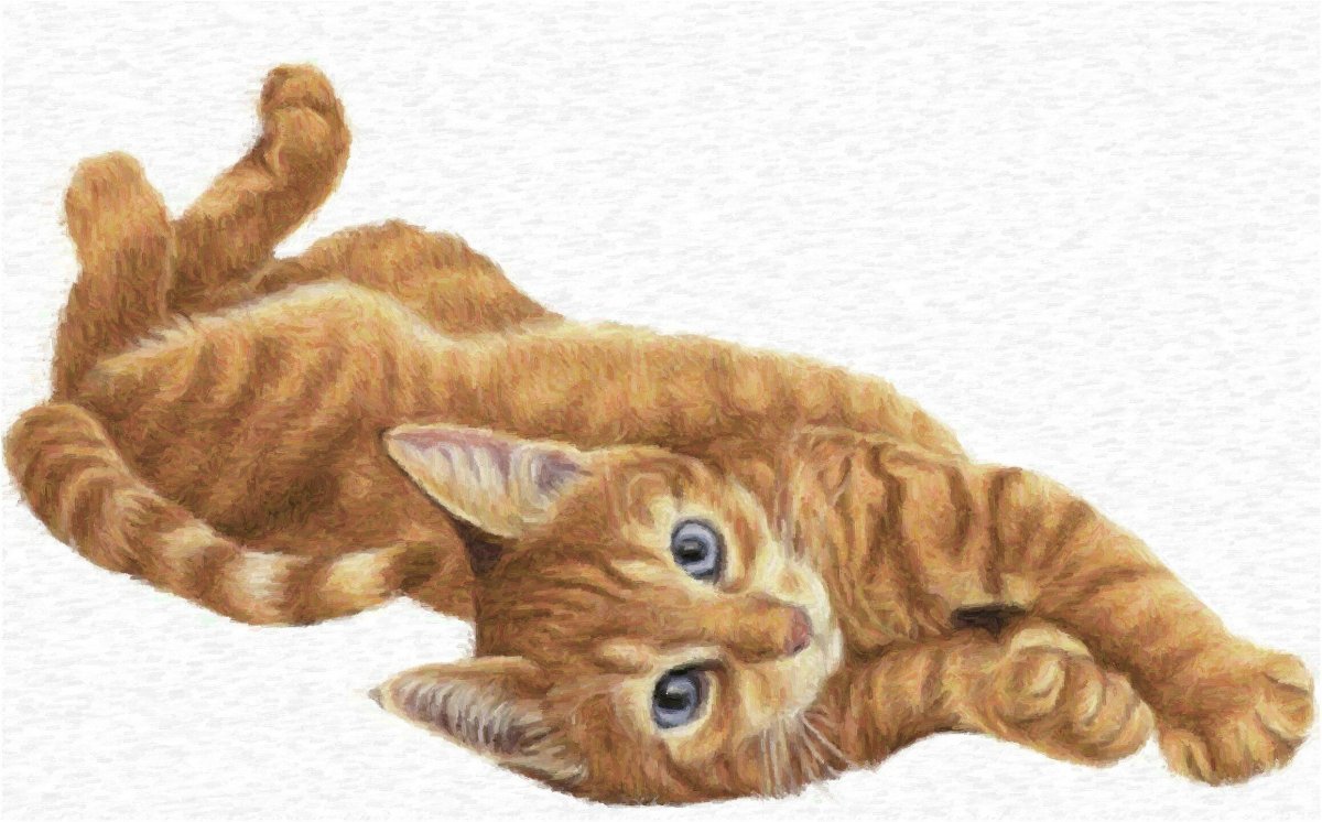 Котик лежит