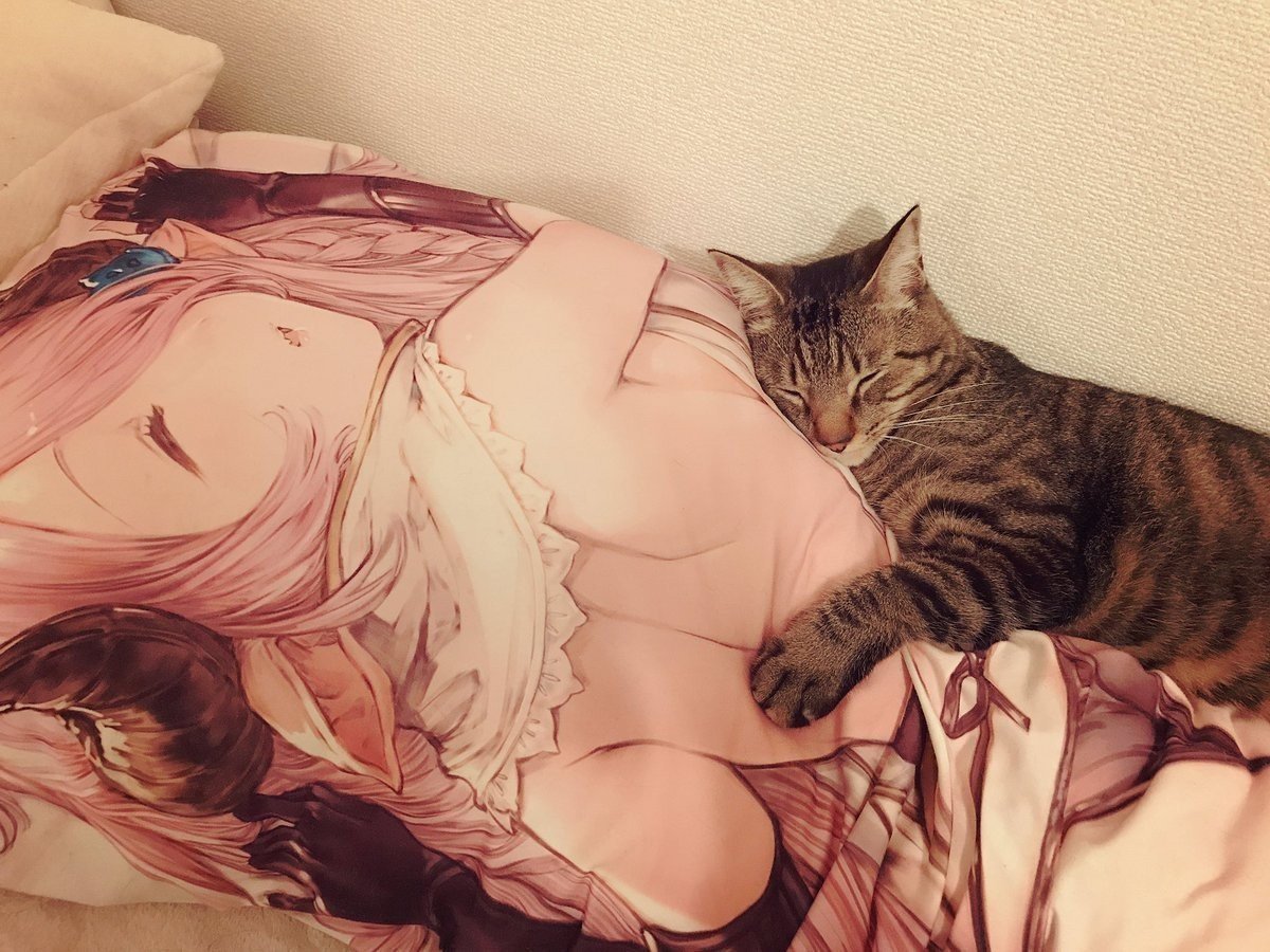 Кот обнимает грудь