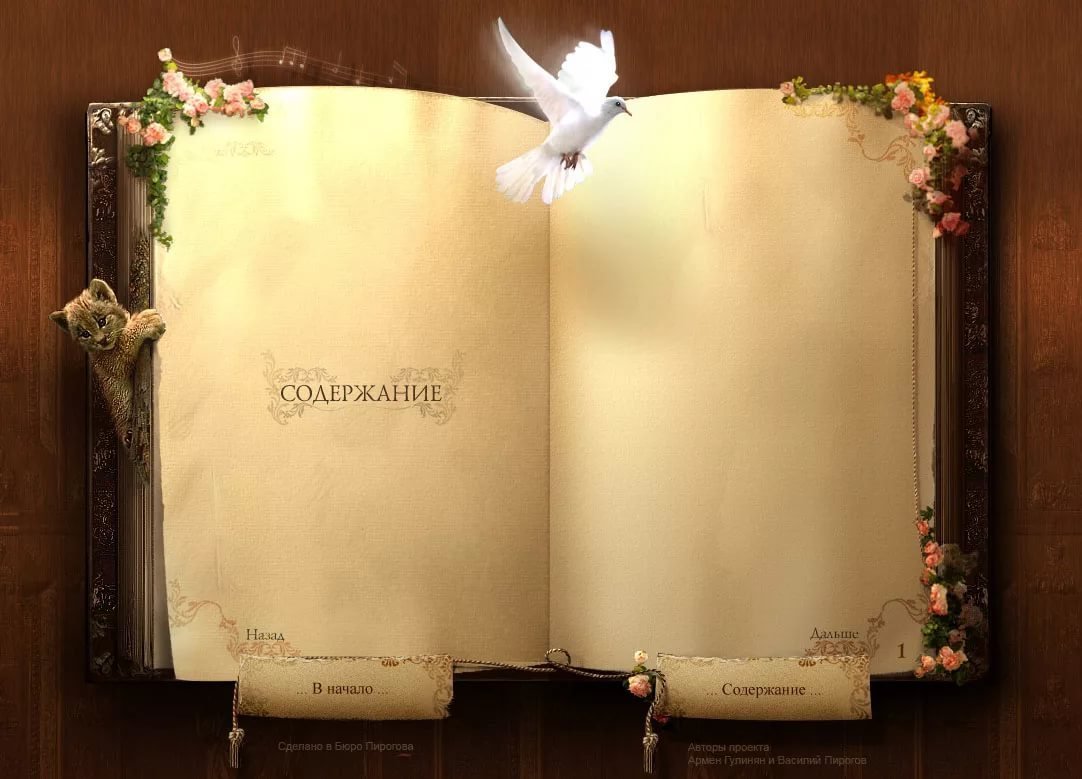Разворот книги
