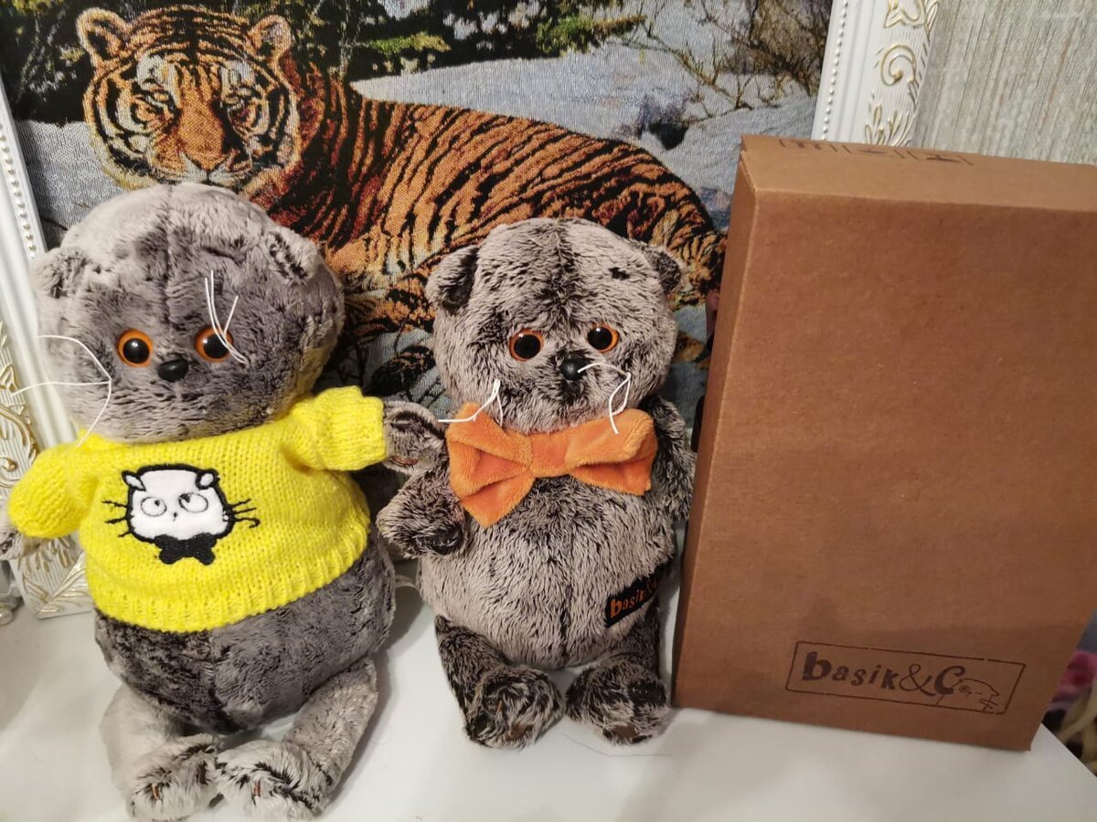Кот Басик BB-069