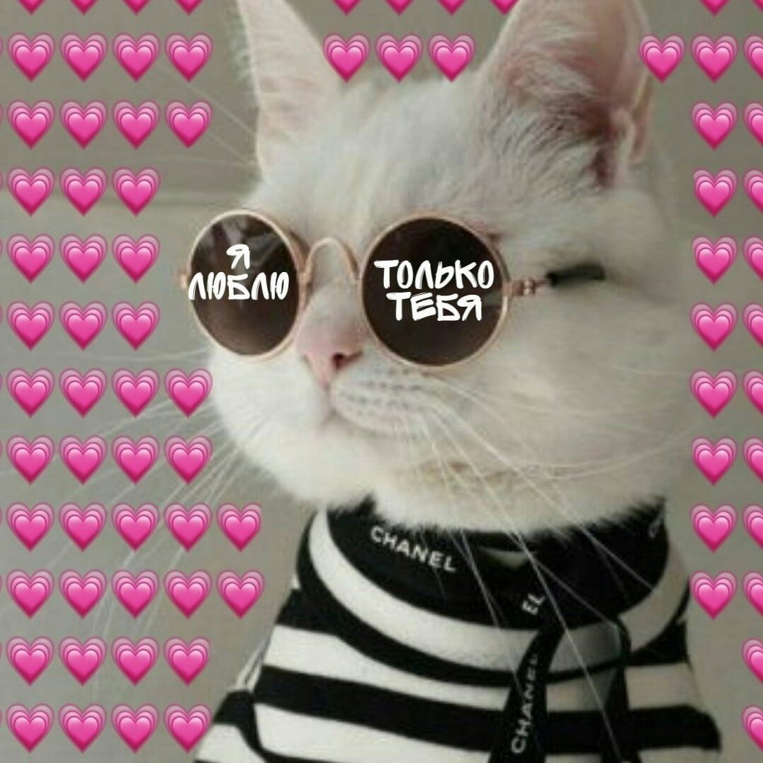 Панк клички котам