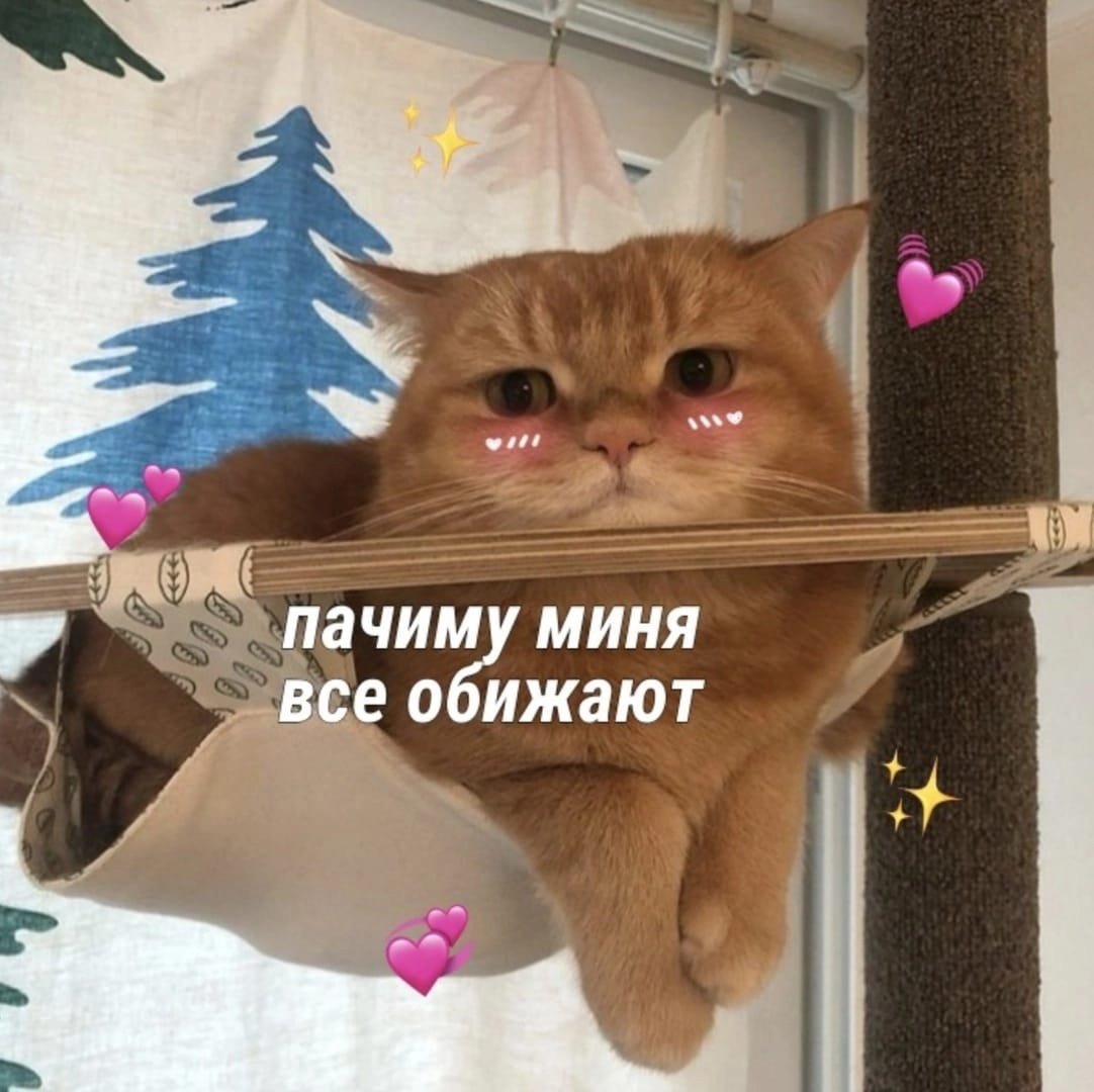 Пикчи милые ты меня обидел