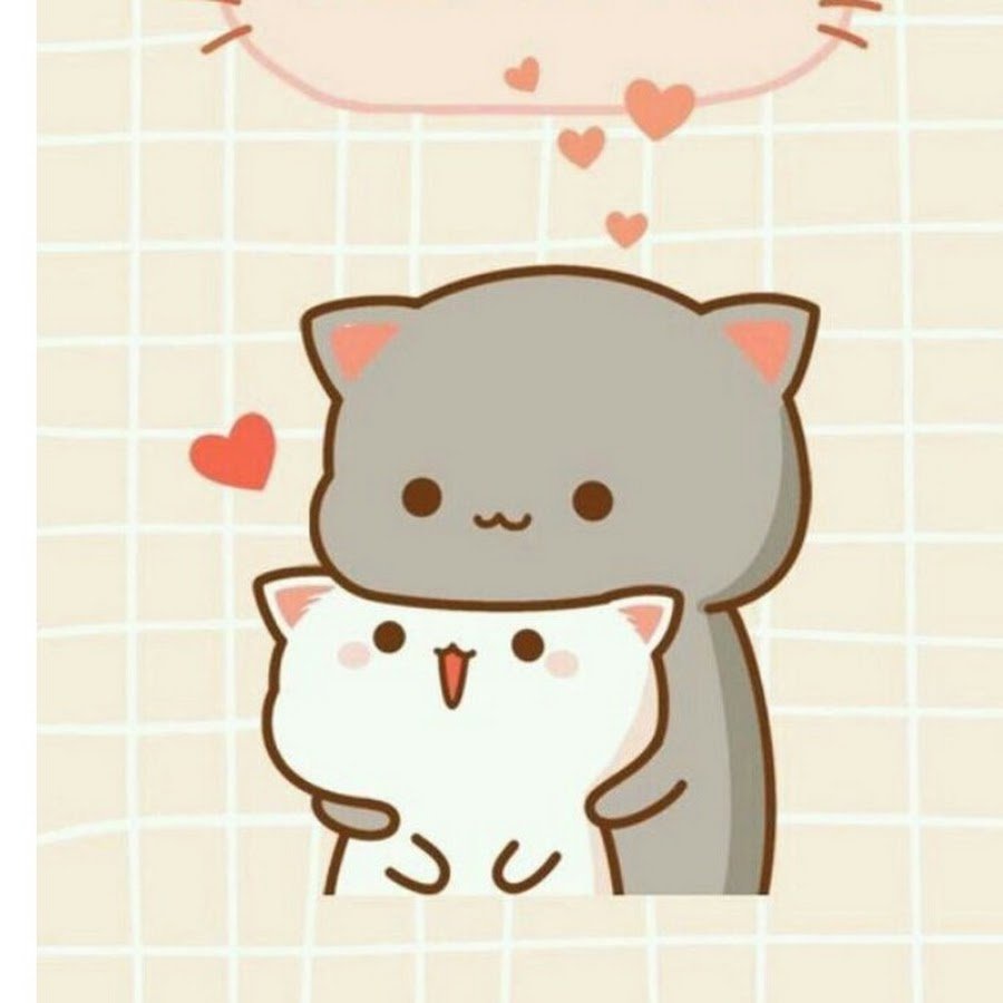 Кавайные котики любовь