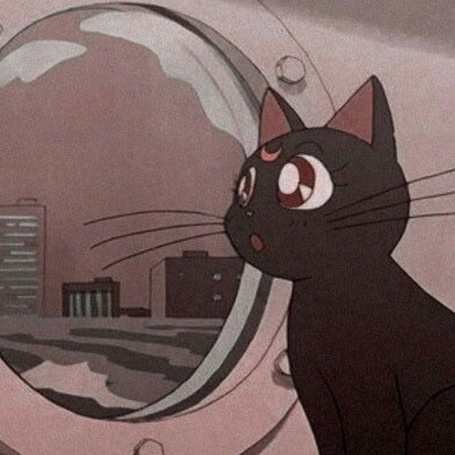 Кот Мун Сейлор Мун Эстетика