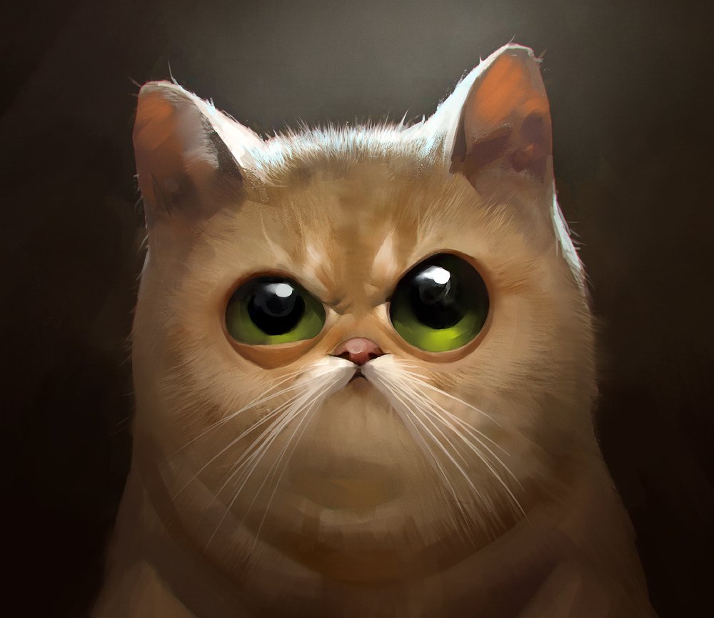 Недовольный кот