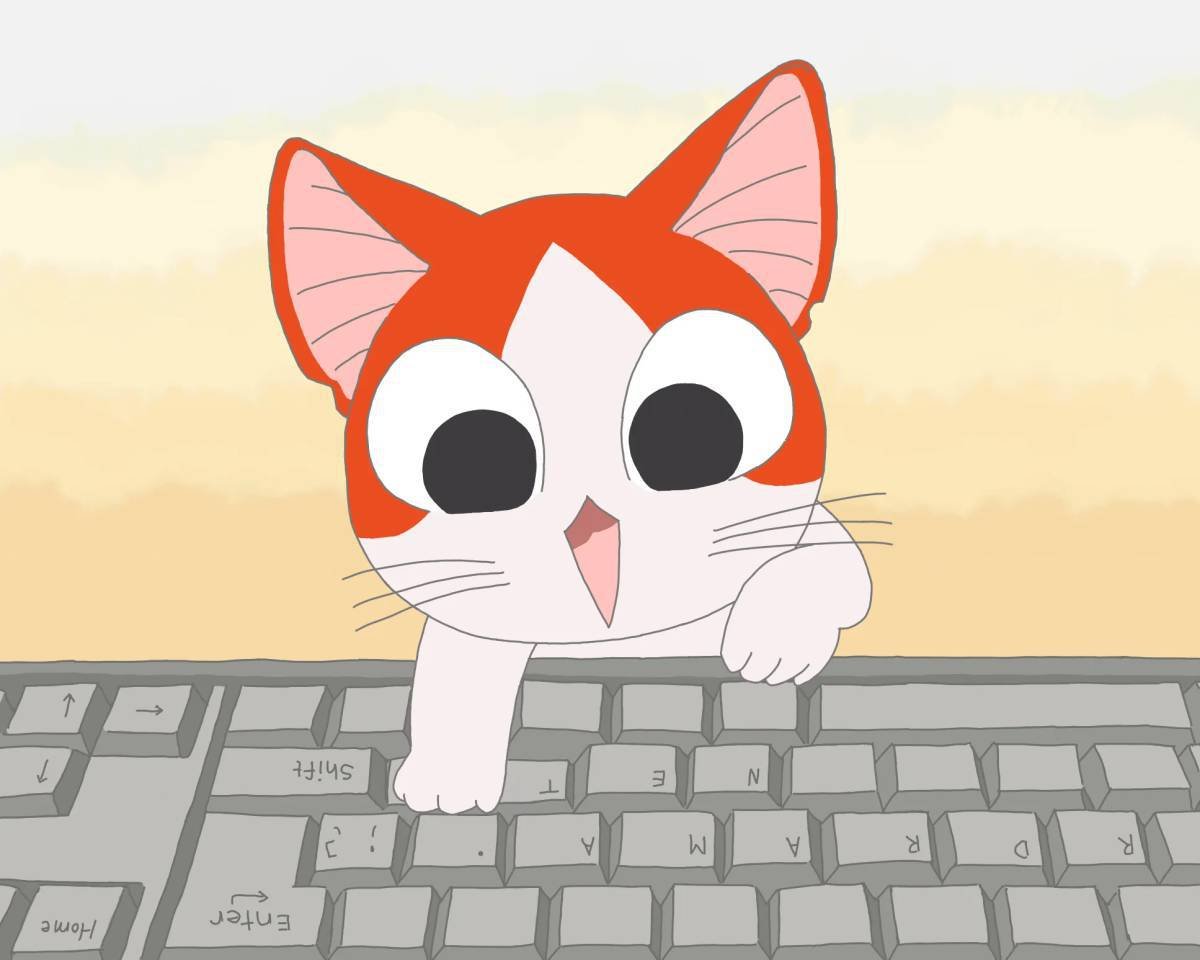 Котики пикчи
