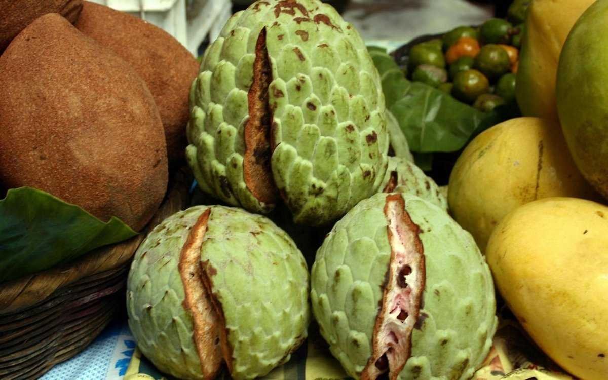 Фрукт гуччи